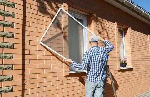 Window screen Replacement cost